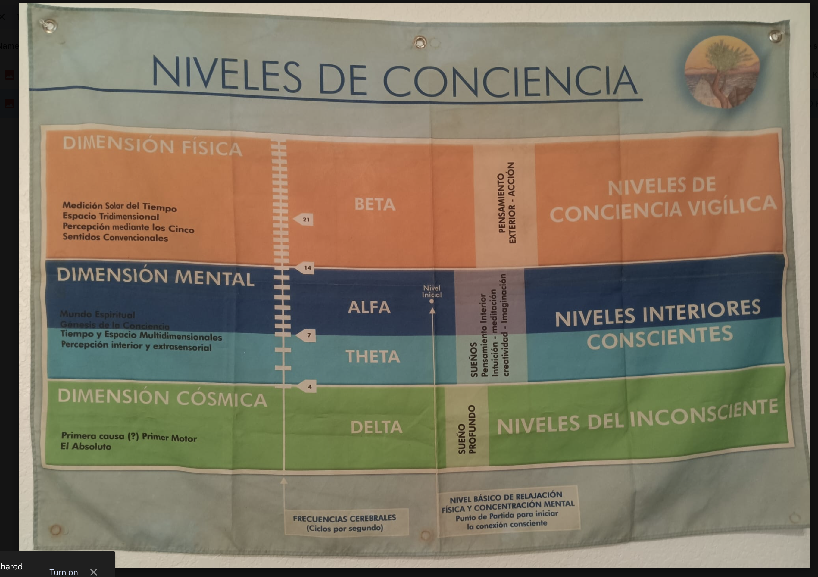 Lámina Niveles de Conciencia del material de estudio del Método CONTAL